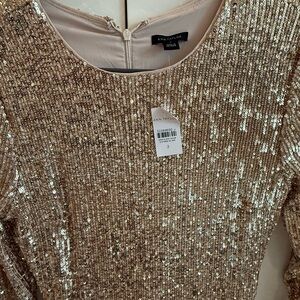 NWT size 2 Ann Taylor sequin dress